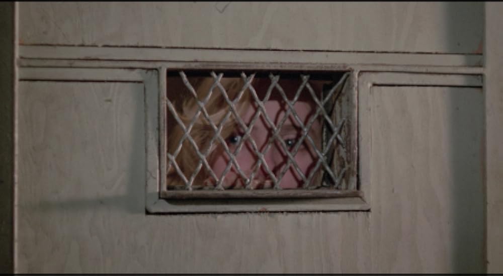 女刑務所・白昼の暴動の画像