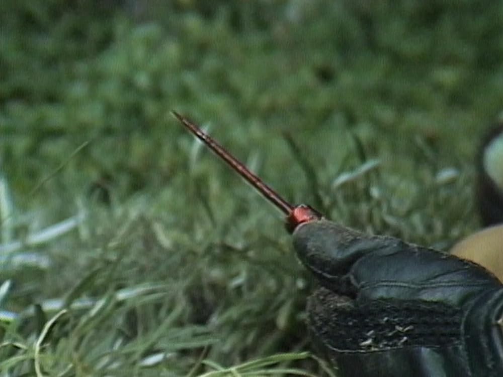 ボーディングハウスの画像