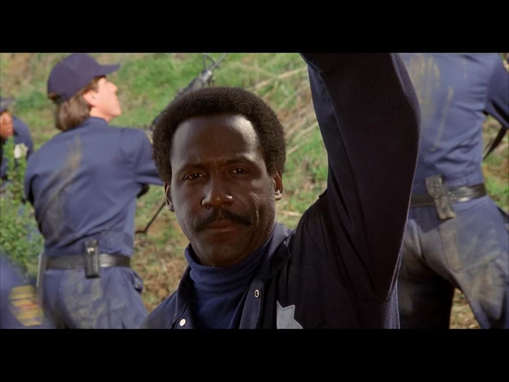 香港コネクションの画像