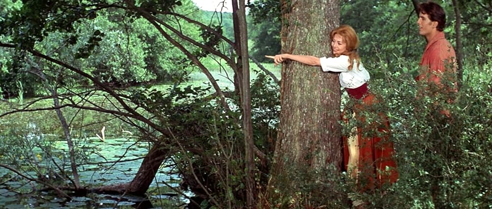 アンジェリク／はだしの女侯爵の画像