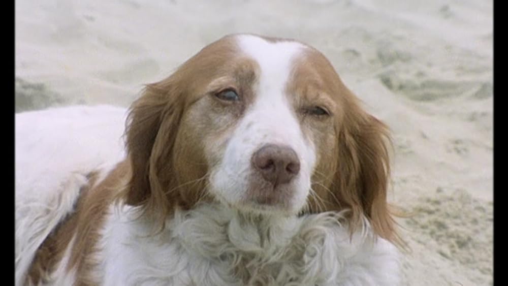 猟奇！喰人鬼の島の画像