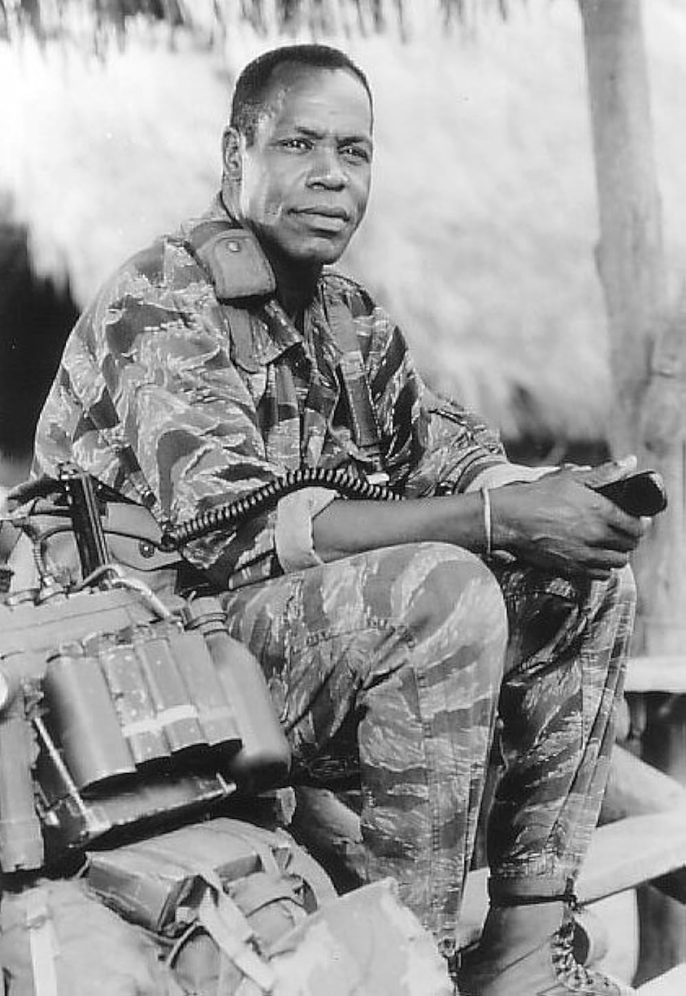 ダンボドロップ大作戦の画像