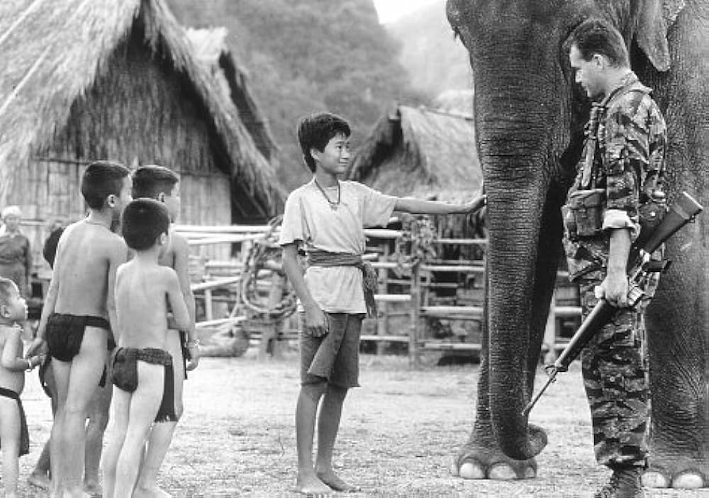 ダンボドロップ大作戦の画像