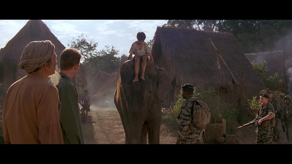 ダンボドロップ大作戦の画像