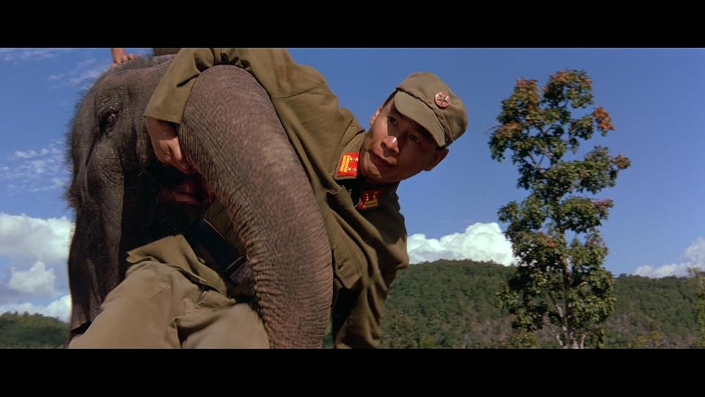 ダンボドロップ大作戦の画像