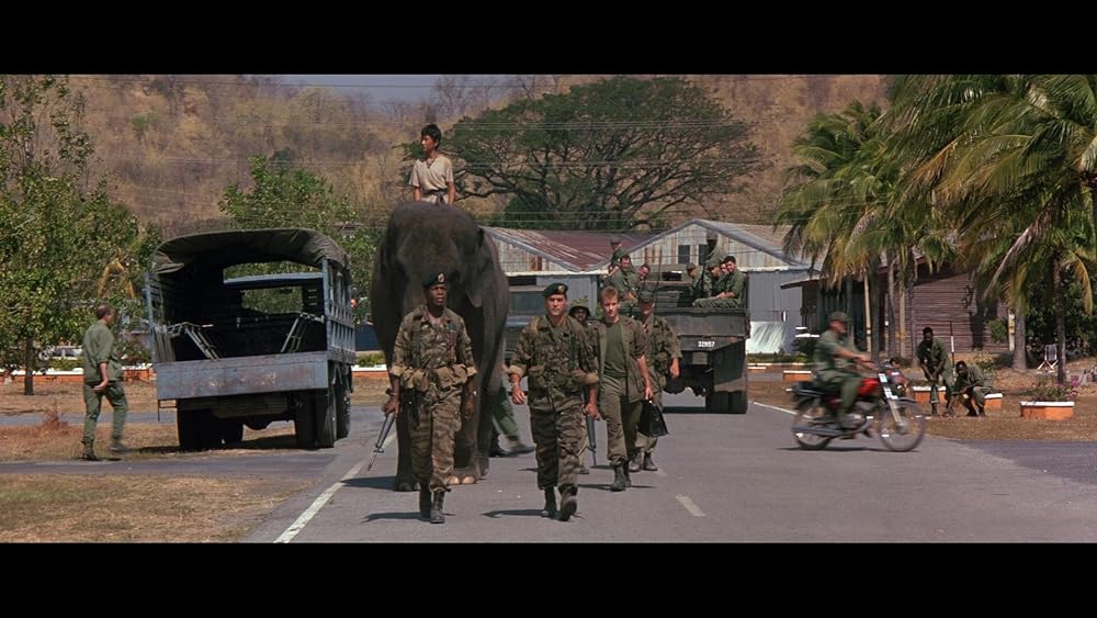 ダンボドロップ大作戦の画像