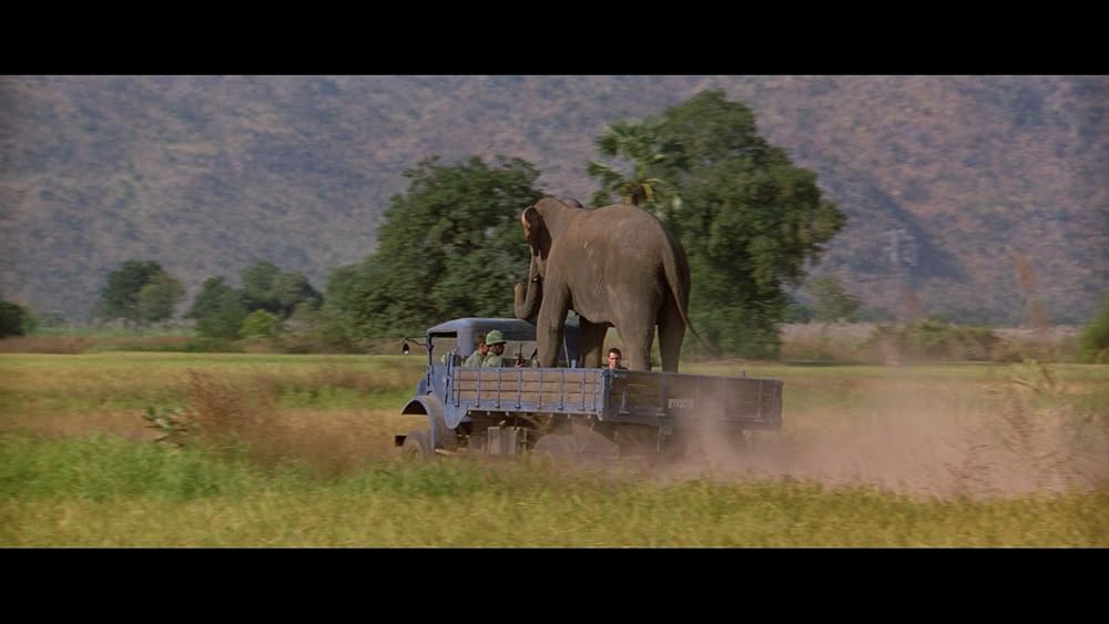 ダンボドロップ大作戦の画像