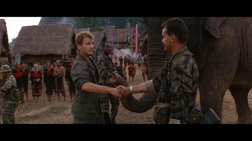 ダンボドロップ大作戦の画像