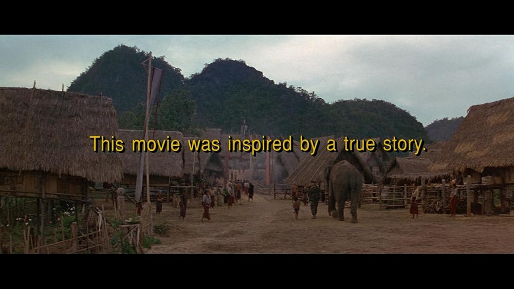 ダンボドロップ大作戦の画像