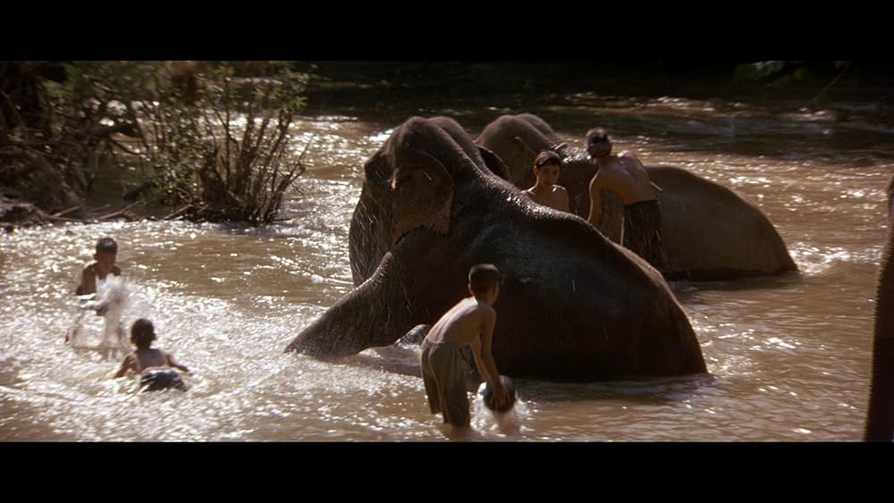 ダンボドロップ大作戦の画像