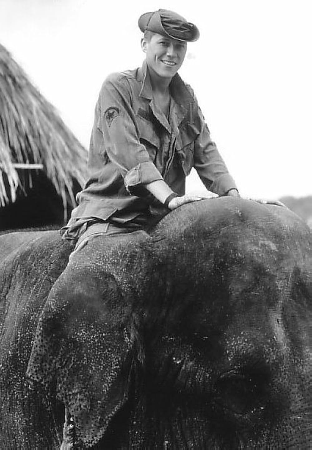 ダンボドロップ大作戦の画像