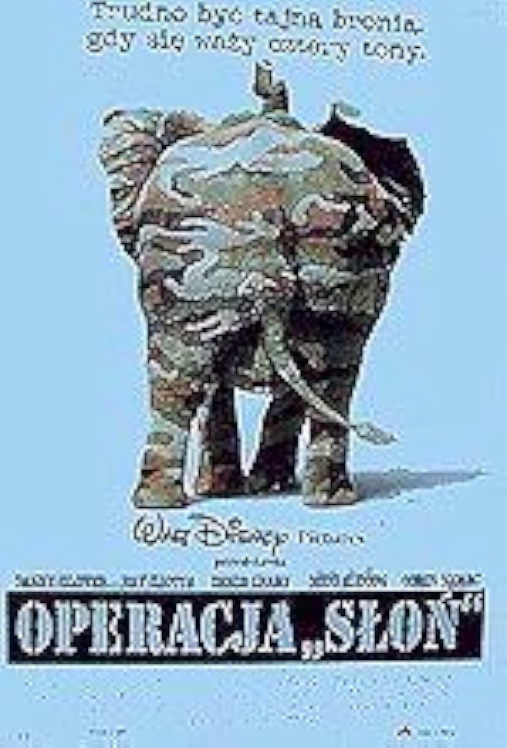 ダンボドロップ大作戦の画像