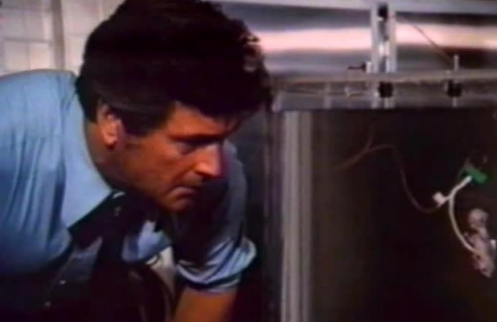 エンブリヨの画像