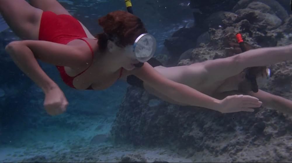 「カリブの熱い夜」の画像