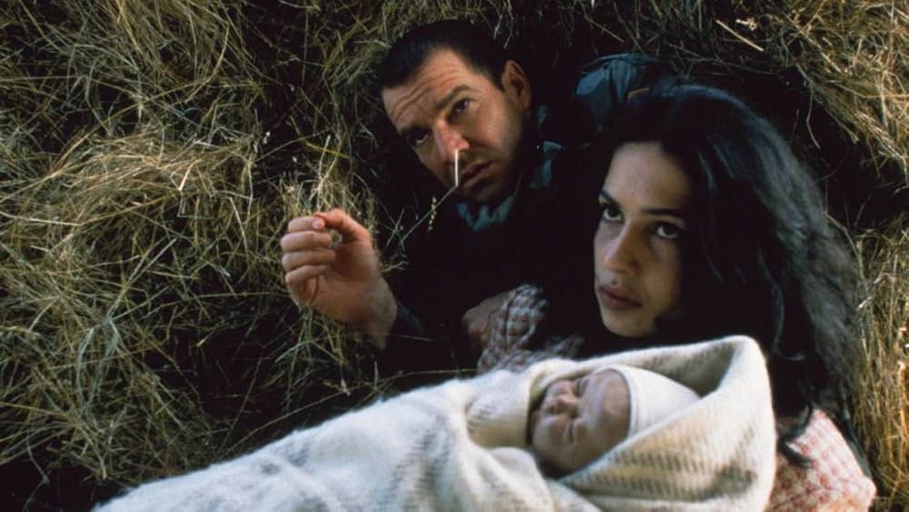 セイヴィアの画像