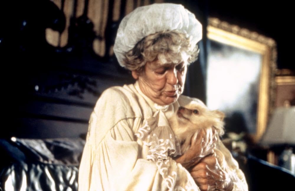 スクリュード／ドジドジ大作戦の画像