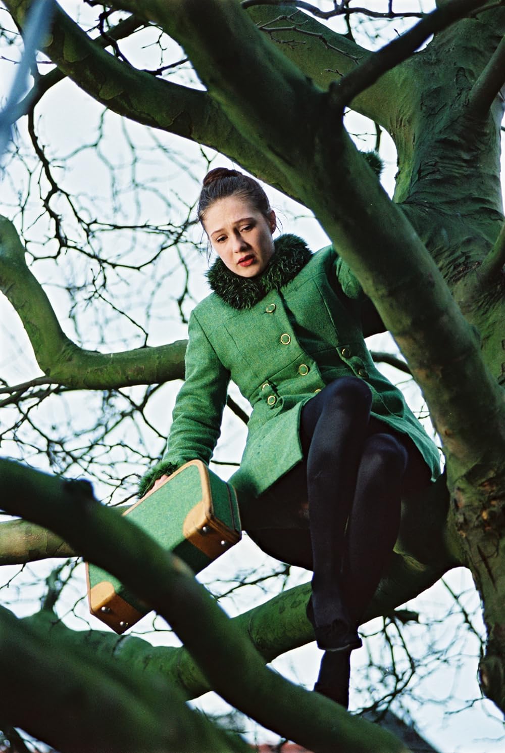 ネコのミヌースの画像