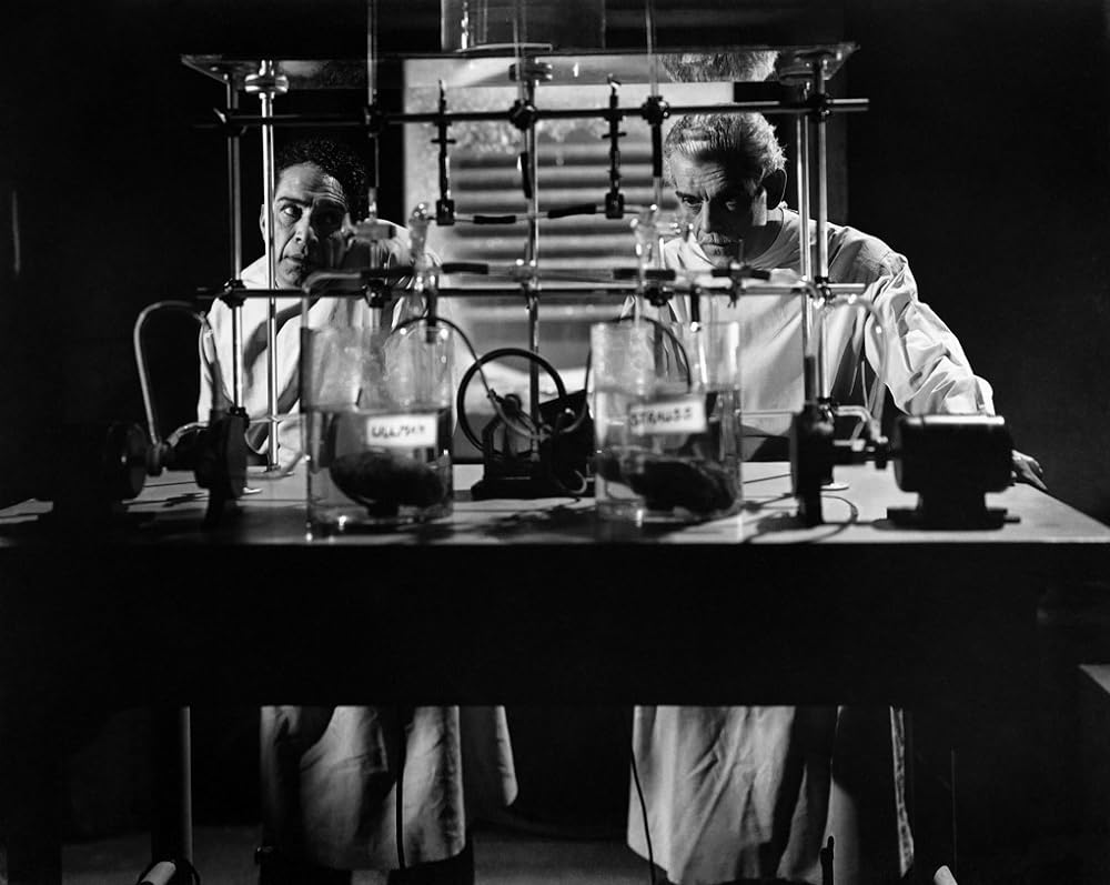 フランケンシュタインの館の画像