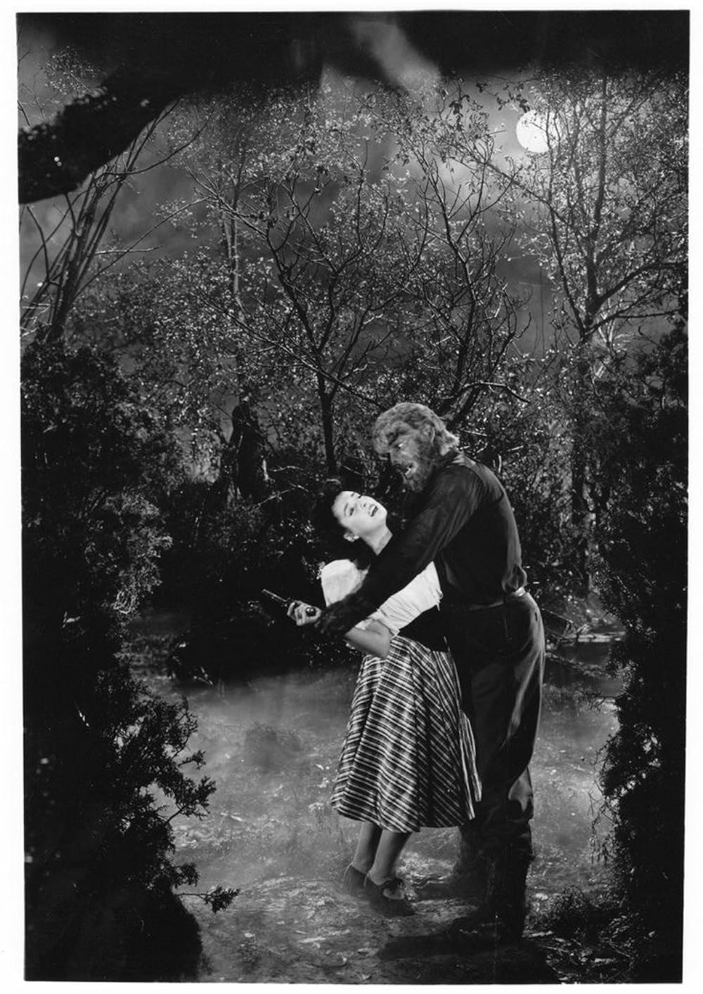 フランケンシュタインの館の画像