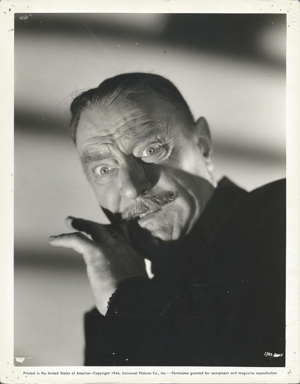 フランケンシュタインの館の画像