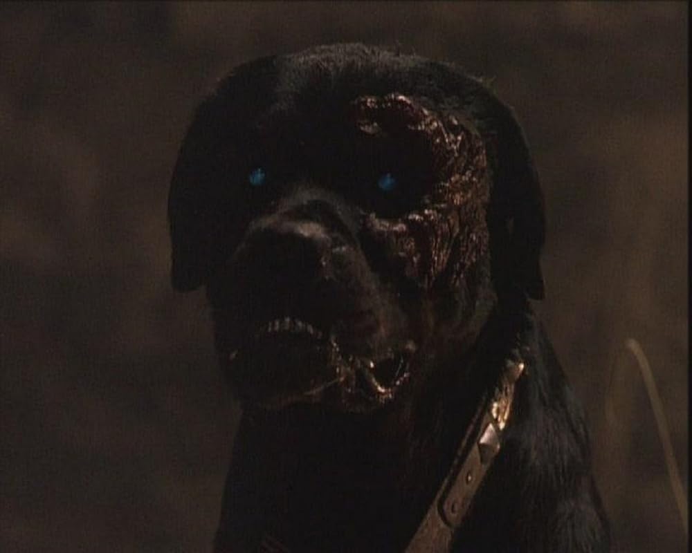 ターミネーター2018の画像