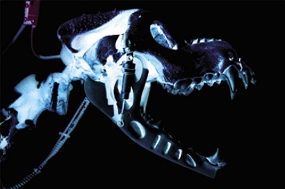 ターミネーター2018の画像