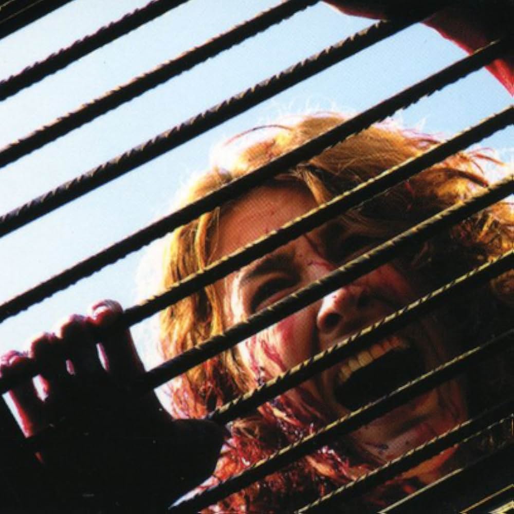 ターミネーター2018の画像