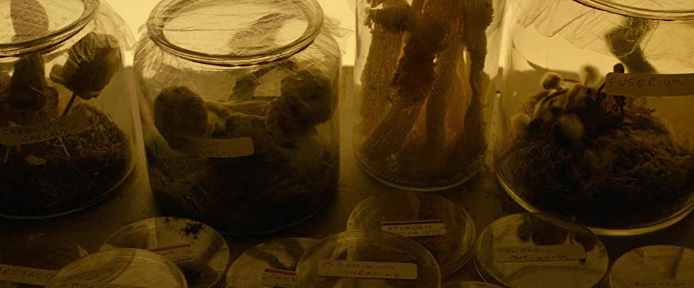 ゴーストバスターズ／アフターライフの画像