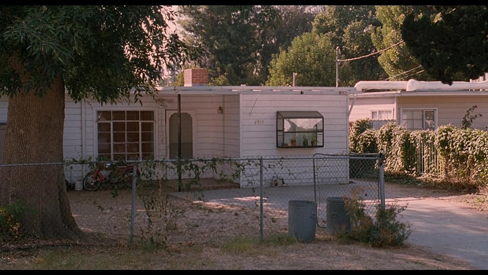 シンディにおまかせの画像