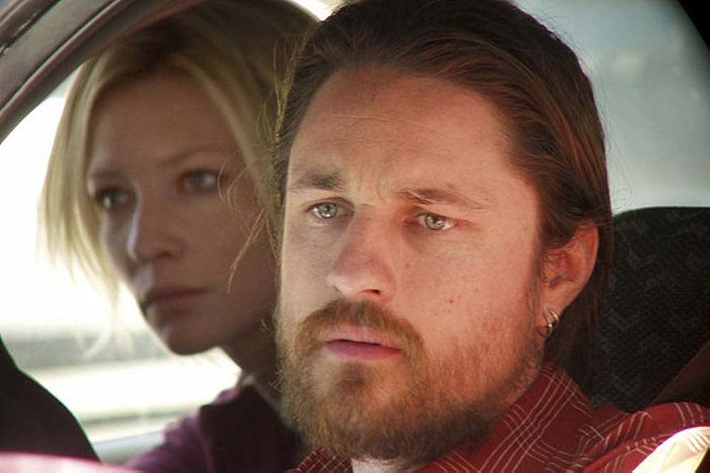 リトル・フィッシュの画像