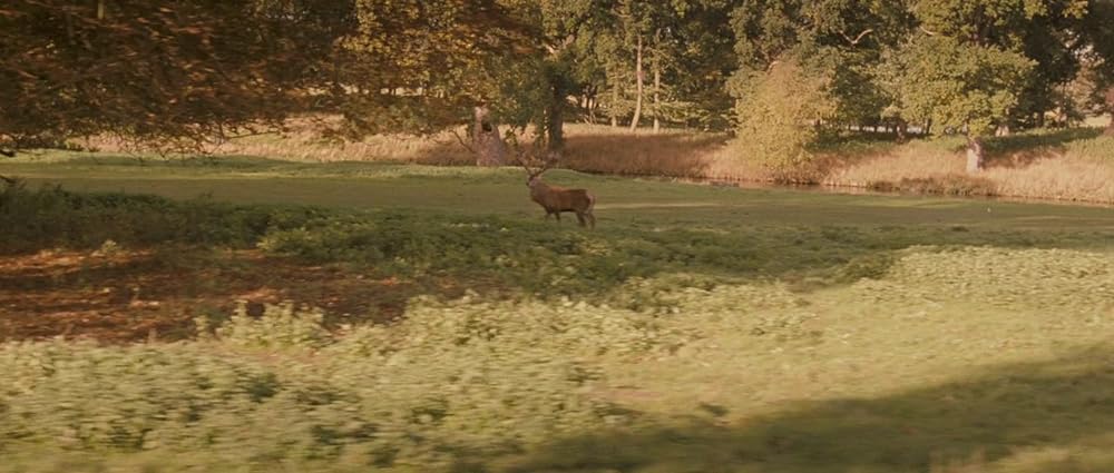 ブラック・レコード〜禁じられた記録〜／ヒトラーコード39の画像