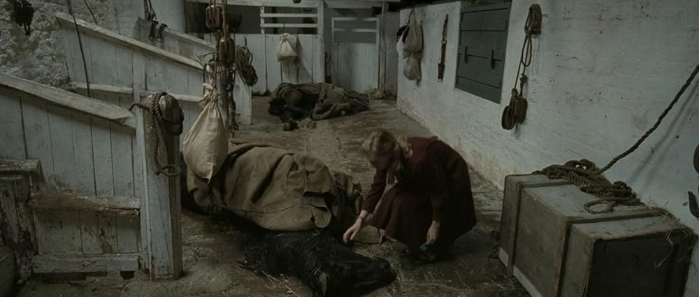 ブラック・レコード〜禁じられた記録〜／ヒトラーコード39の画像