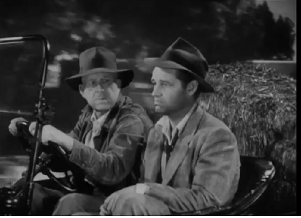 恐怖のまわり道の画像