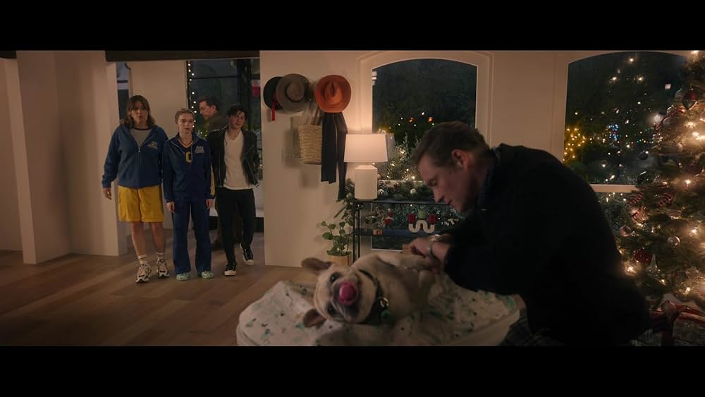 ファミリー・スイッチの画像