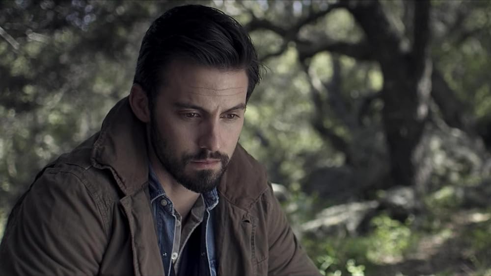 ビジターの画像