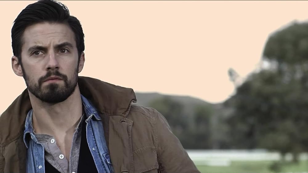 ビジターの画像