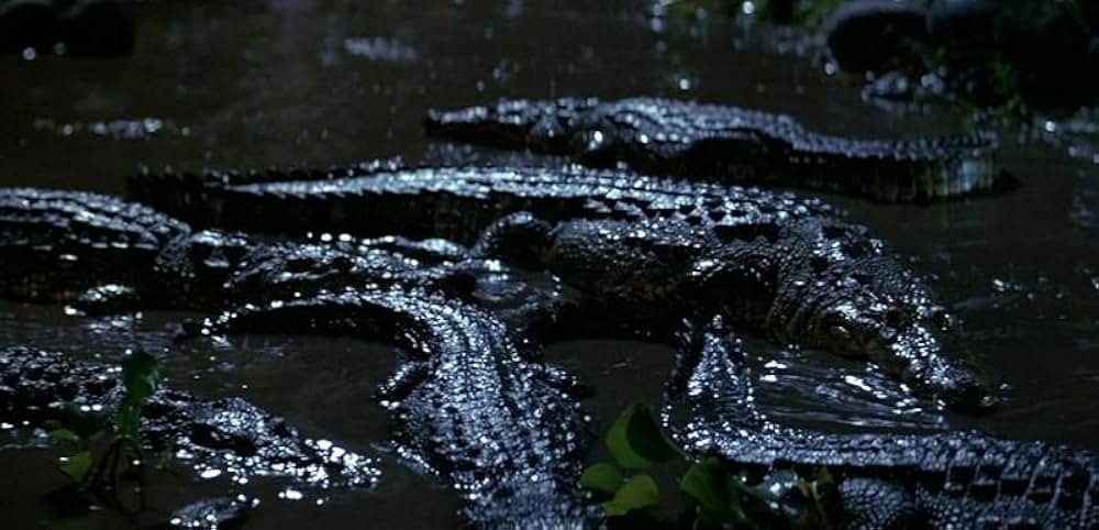 「ロマンシング・ストーン／秘宝の谷」の画像