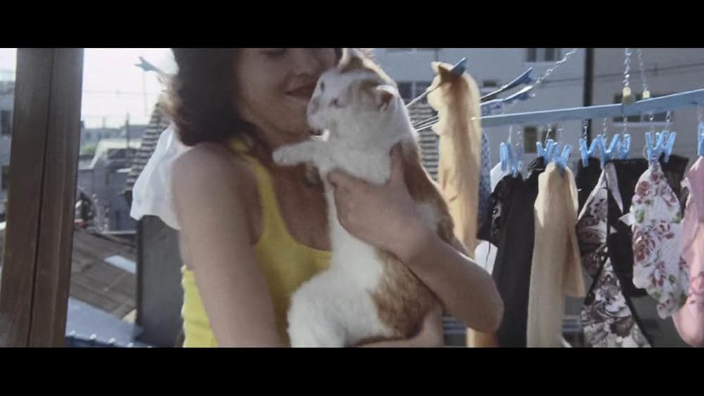 黒薔薇昇天の画像