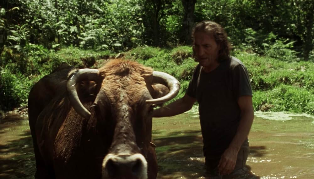 ファイアー・ウィル・カムの画像