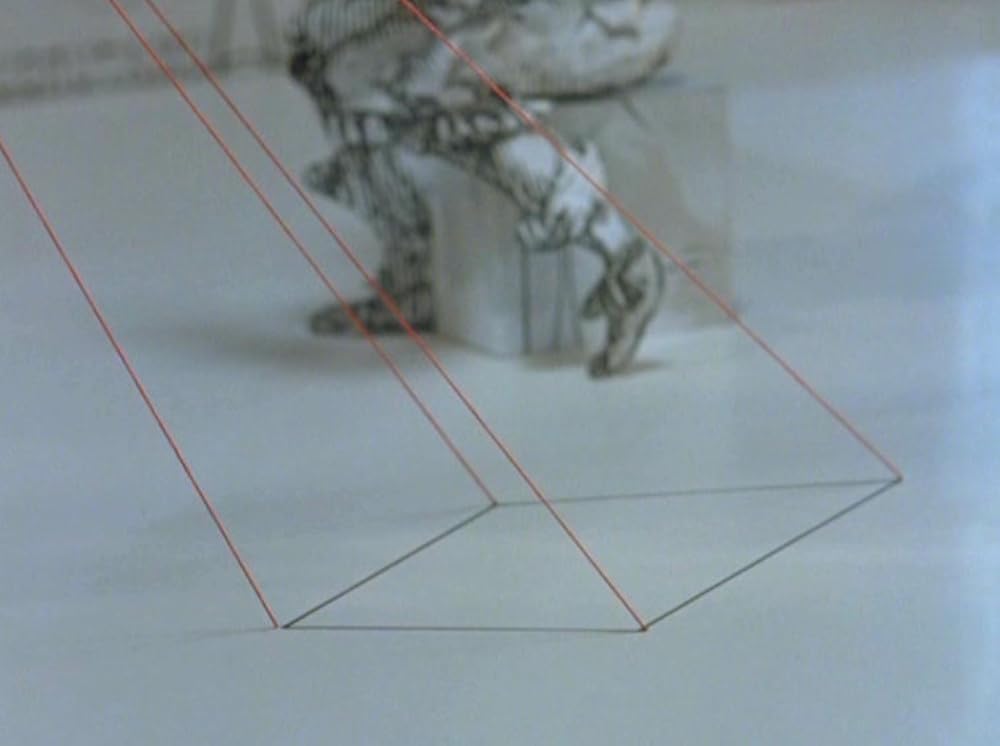 アナモルフォーシスの画像