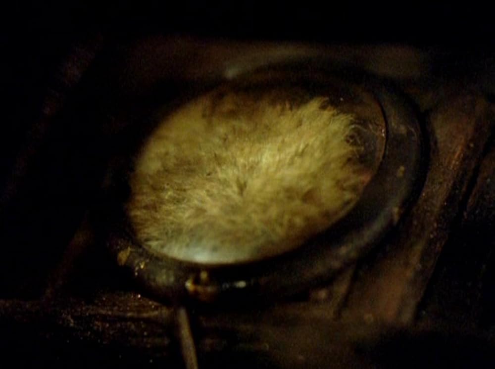 アナモルフォーシスの画像