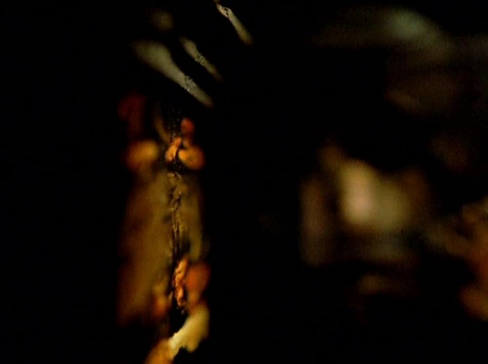 アナモルフォーシスの画像