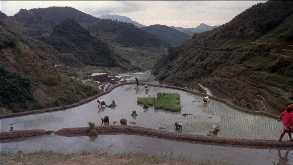 残虐全裸女収容所の画像