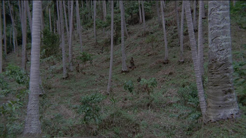 残虐全裸女収容所の画像