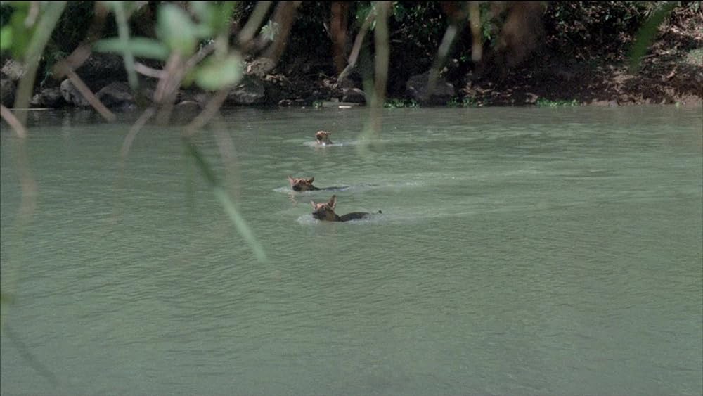 残虐全裸女収容所の画像