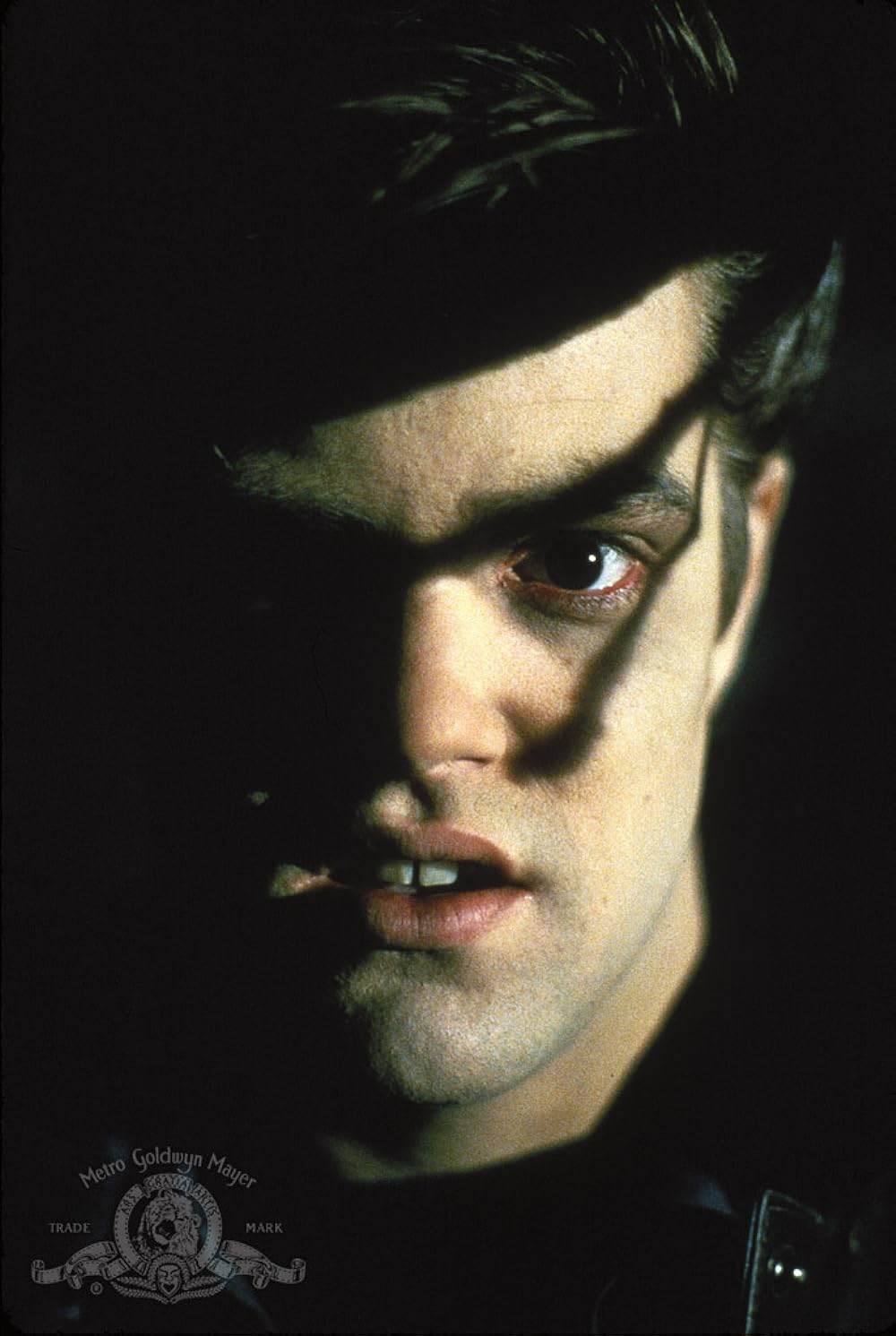 ブロス／やつらはときどき帰ってくるの画像