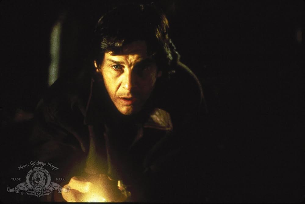 ブロス／やつらはときどき帰ってくるの画像