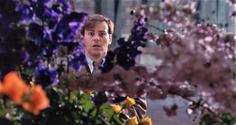 ダロウェイ夫人の画像