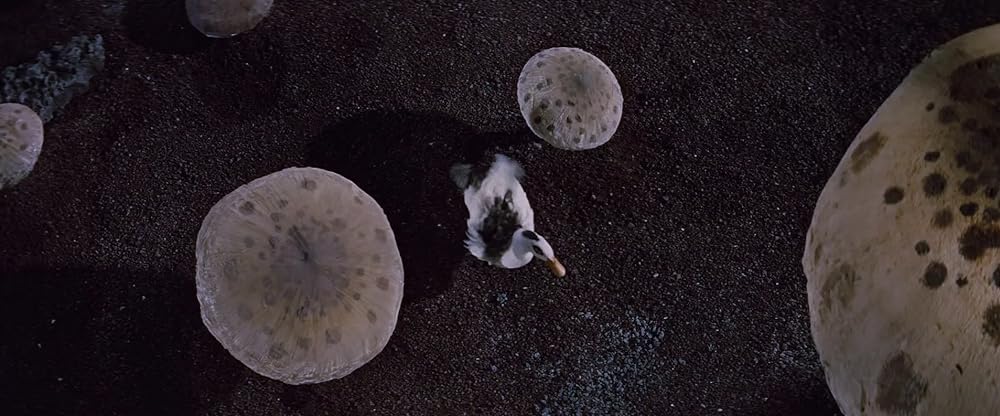 地底探険の画像