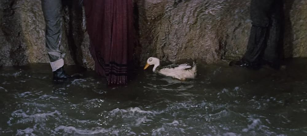 地底探険の画像